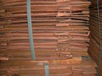 99.99 % Copper Cathodes