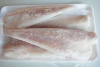 FROZEN ALASKAN POLLOCK FISH