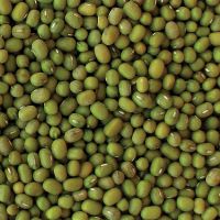 Green Mung Beans