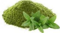 Dehydrated Mint Powder