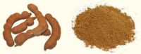 Dehydrated Tamarind Powder