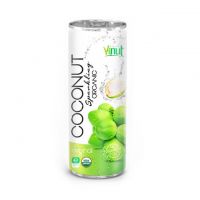 250ml Can Organic Coconut water EU Organic USDA Organic