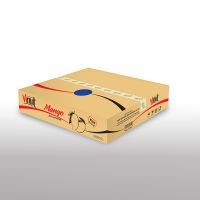 20L Bag Mango Juice Drink Concentrate