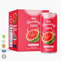 8.5 fl oz Soft Carbonated drink VINUT 4 Cans Watermelon Juice Manufacturer Factory direct OEM Vietnam Halal Certified