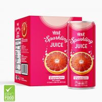 355ml Sparkling water VINUT 4 Cans Grapefruit Juice Manufacturer 100% Pure Beverage Customize Formulation