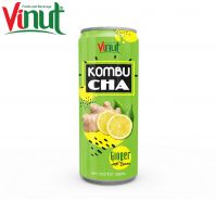 250ml VINUT Tropical fruit juice Can (Tinned) OEM Good Quality Kombucha with Ginger Lemon Manufacturer in Vietnam