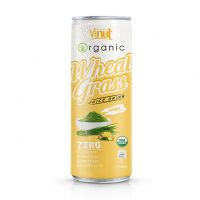 320ml Can Organic Wheatgrass juice drink with Ginger