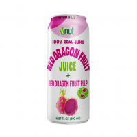 Free Sample VINUT 100% Red Dragon Juice with Pulp OEM ODM Service