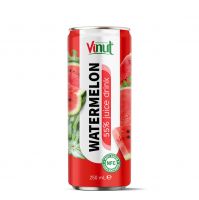 Free Sample VINUT 55% Watermelon Juice OEM/ODM Service