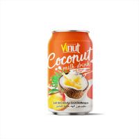 OEM/ODM Service 11.1 fl oz Vinut Coconut Milk with Mango Flavor Free Sample