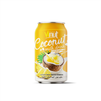 OEM/ODM Service 11.1 fl oz Vinut Coconut Milk with Pineapple Flavor Free Sample