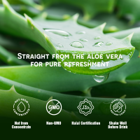 16.9 Fl Oz Bottle Aloe Vera Drink Hot Selling Beverage Manufacture Free Sample Private Label