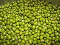 Organic green mung beans