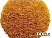 Distellery Dried Grain With Soluble (DDGS)