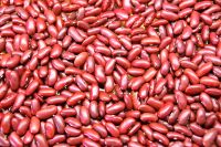 Red Kidney Beans/ Red Speckled Kidney Beans