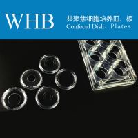Glass bottom cell culture dish & plate