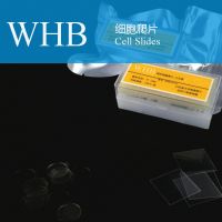 https://es.tradekey.com/product_view/Wholesale-Tc-Treatment-Cover-Glass-8677556.html