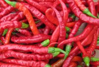 Chilli Pepper
