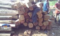 teak round logs /square logs 