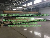 bi-oriented polypropylene bopp film