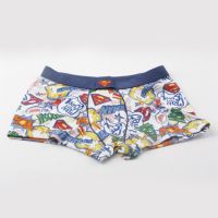 High quality allover printing boy children's boxer underwear with cotton
