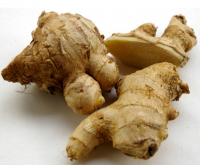 Fresh Ginger