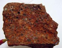 https://ar.tradekey.com/product_view/Bauxite-Ore-al-oh-3-And-Alooh-8802513.html