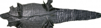 crocodile skin