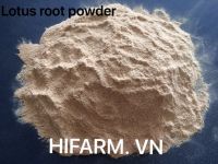 LOTUS ROOT POWDER