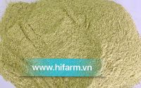 GREEN PAPAYA POWDER