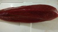 Fresh Frozen Tuna