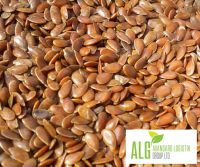 Flax Seed (Lin Seed)