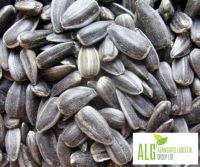 SUNFLOWER SEEDS (CONFECTIONARY)