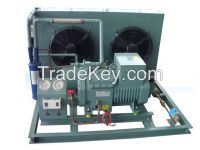 Industrial air cooled condensing unit