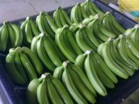 Fresh cavendish banana