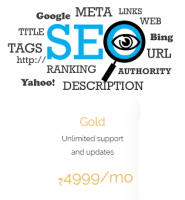 SEO Service Packages - SEO , SEM , PPC