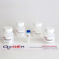 Bacterial DNA Purification Kit(Solution-based)