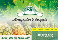 Amazonian Pineapple Brix 18