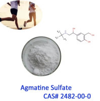 Agmatine Sulfate CAS No. 2482-00-0 N-(4-AMINOBUTYL)GUANIDINE SULFATE