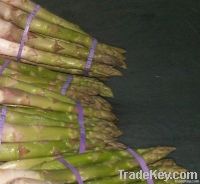 ASPARAGUS