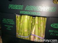 ASPARAGUS IN BOXES