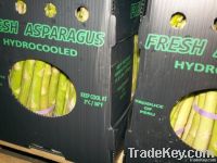 https://www.tradekey.com/product_view/Fresh-Asparagus-337863.html