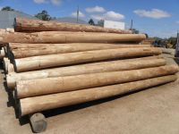 Eucalyptus wood (hardwood)