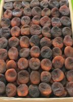 ORGANIC DRIED APRICOTS