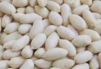 Blanched peanut