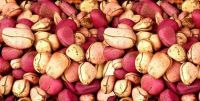 KOLA NUTS from Nigeria