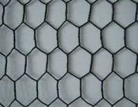 Hebei Hexagonal Wire Netting/hexagonal wire mesh