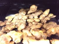 ORGANIC GINGER