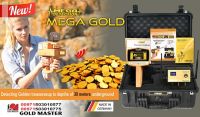 Accurate Long Range Detector for Metals & Gemstones-MEGA GOLD 2019-