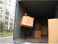 Professional import and export moving service in China